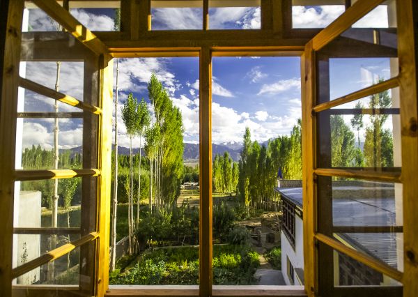 Wood Window Replacement in Lake Mary