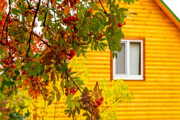 Cost of Garden Window Replacement in Lake Mary